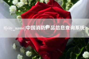 宿迁中国消防产品信息查询系统1