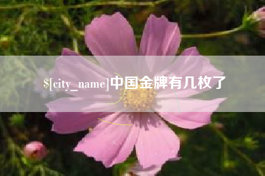 宿迁中国金牌有几枚了