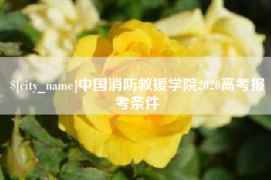 宿迁中国消防救援学院2020高考报考条件