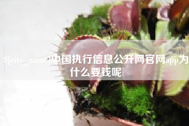宿迁中国执行信息公开网官网app为什么要钱呢
