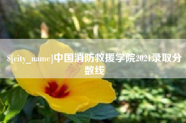 宿迁中国消防救援学院2021录取分数线