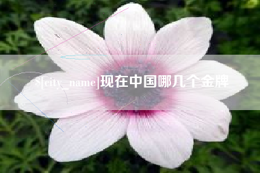宿迁现在中国哪几个金牌