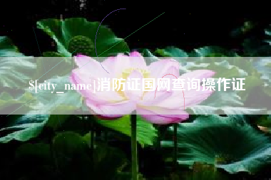 宿迁消防证国网查询操作证