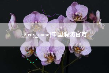 宿迁中国消防官方