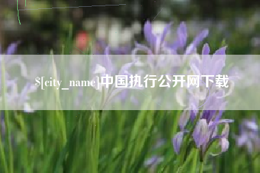 宿迁中国执行公开网下载