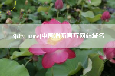 宿迁中国消防官方网站域名