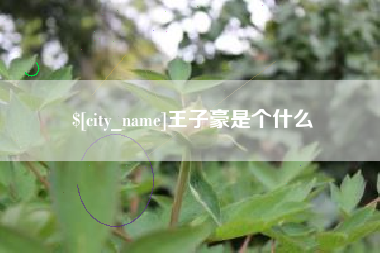 宿迁王子豪是个什么