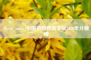 宿迁中国消防救援学院2020年分数线