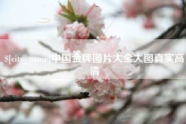 宿迁中国金牌图片大全大图真实高清