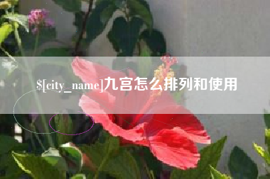 宿迁九宫怎么排列和使用