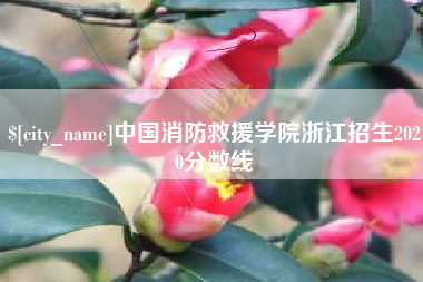 宿迁中国消防救援学院浙江招生2020分数线