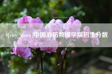 宿迁中国消防救援学院招生分数