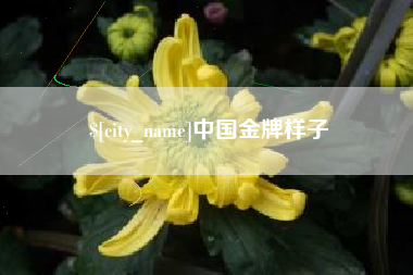 宿迁中国金牌样子