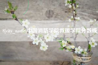 宿迁中国消防学院救援学院分数线