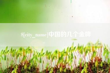 宿迁中国的几个金牌