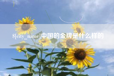 宿迁中国的金牌是什么样的