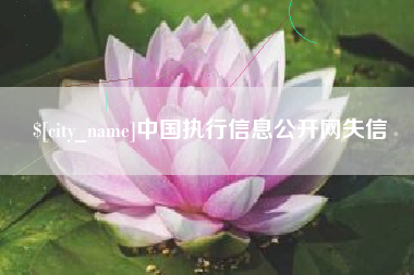 宿迁中国执行信息公开网失信