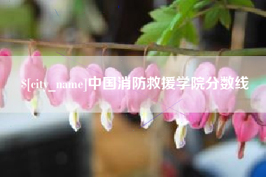 宿迁中国消防救援学院分数线