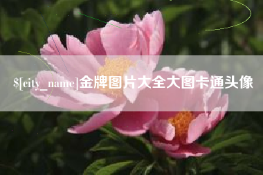 宿迁金牌图片大全大图卡通头像