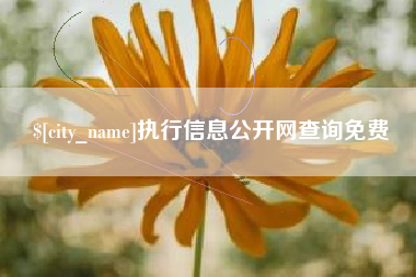 宿迁执行信息公开网查询免费