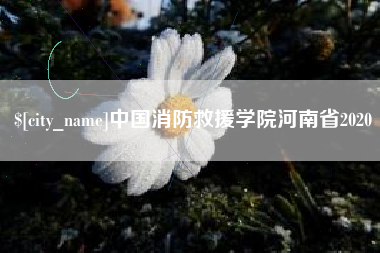 宿迁中国消防救援学院河南省2020
